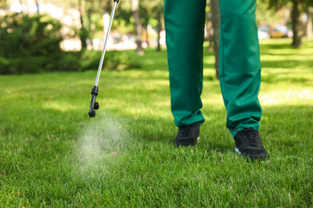 Best Residential Pest Control  in Fairfield, IL